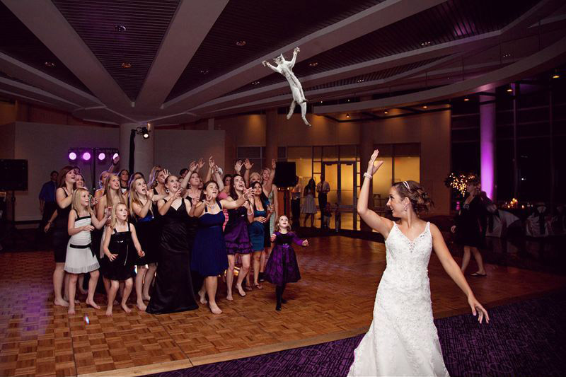 新娘“拋貓”創(chuàng)意15