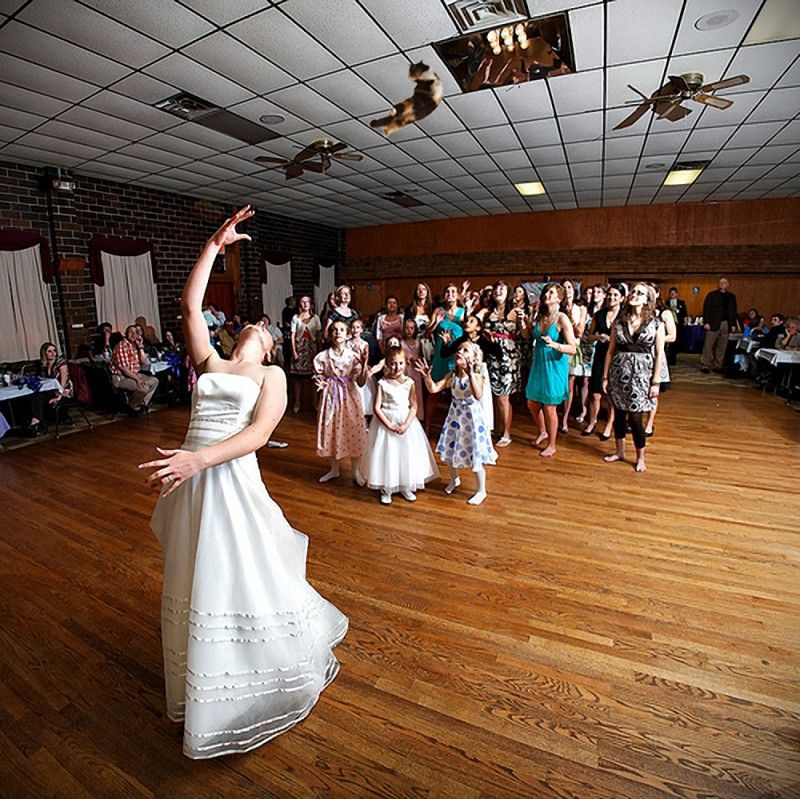 新娘“拋貓”創(chuàng)意13