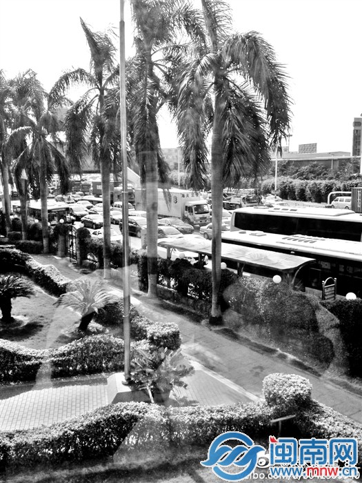 廈門大橋出島方向排起長隊(duì)