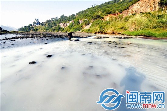 污水直排后，溪水呈乳白色