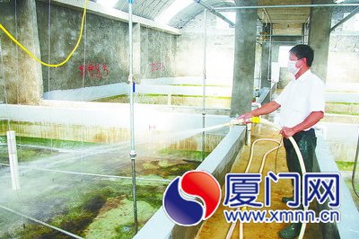 工人在給空蕩蕩的蝦池消毒