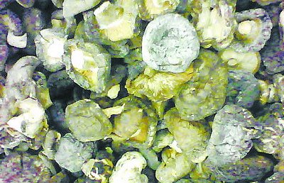 發(fā)霉的香菇