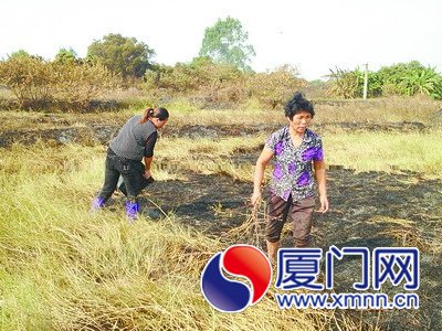 防止死灰復(fù)燃