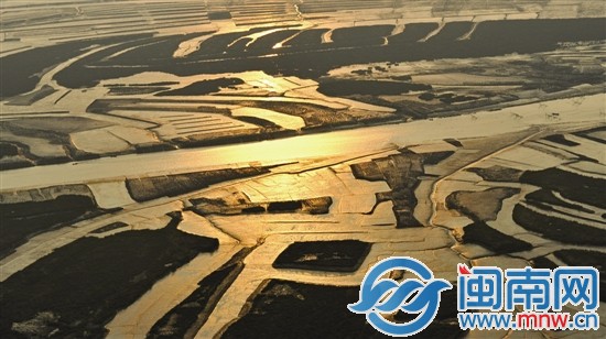 晨曦中的洛陽江河口濕地