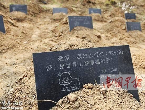 國(guó)內(nèi)一些城市已在嘗試建立“寵物公墓”1