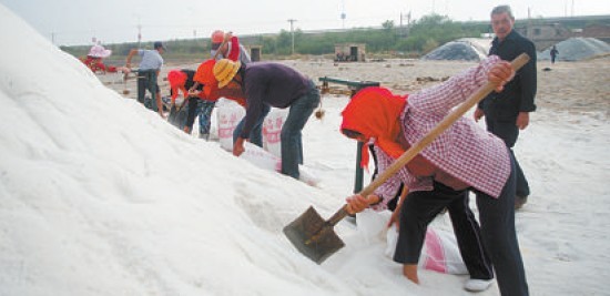 頭裹紅頭巾的女鹽工曾是鹽場的一道風景