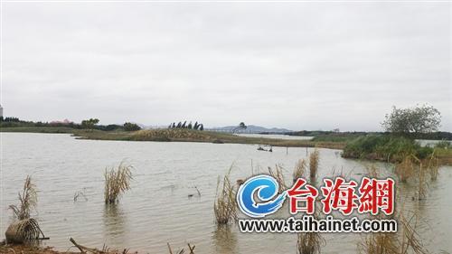 最美水鳥棲息地遭開發(fā)商蠶食