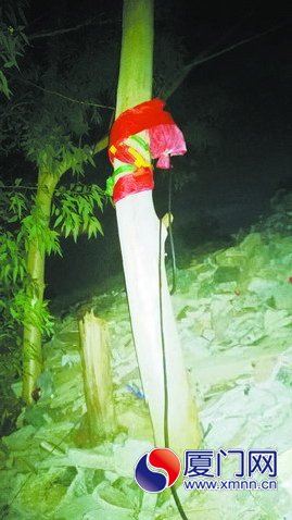 洗車攤私拉架空線偷電