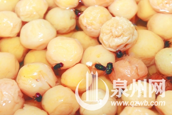 蜜餞上的死蒼蠅令人作嘔