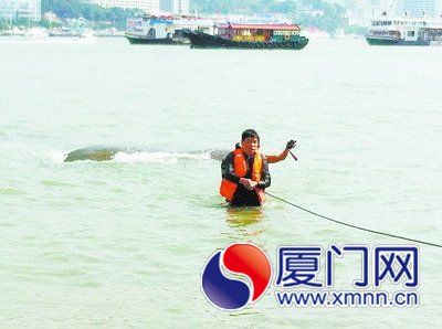 被困男子被護(hù)送回岸上