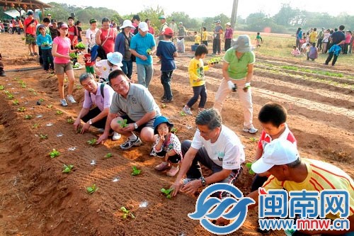 跟爸爸一起去種菜