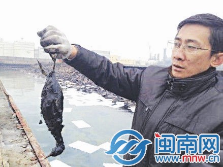 因原油泄漏污染海水