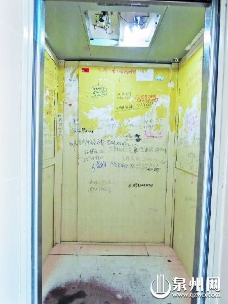 洛江區(qū)金鳳嶼花苑電梯