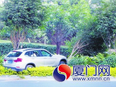 寶馬車失控沖上中分綠化帶