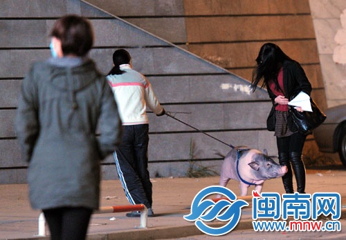 一年從3斤吃成80斤