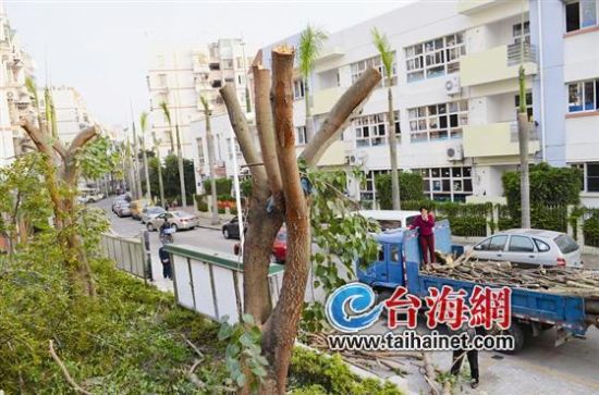 物業(yè)解釋為“正常修剪”，居民則認(rèn)為“不尊重居民意