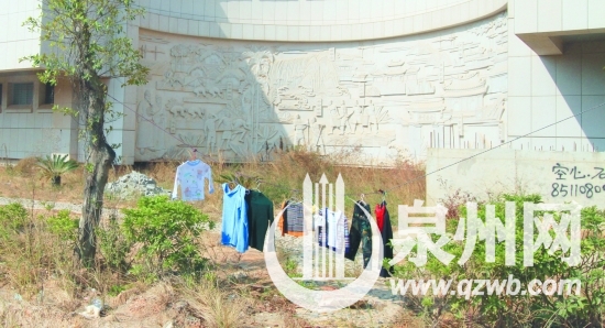 鄭成功文化中心邊，綠化樹上晾曬衣服