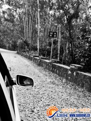 后溪主考場科目三考試的石子泥土路