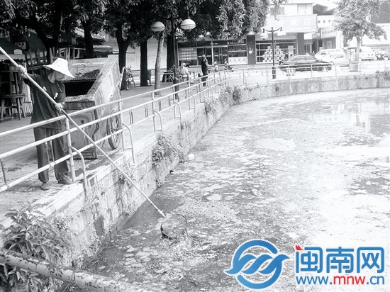 2009年，百源清池池水黑臭