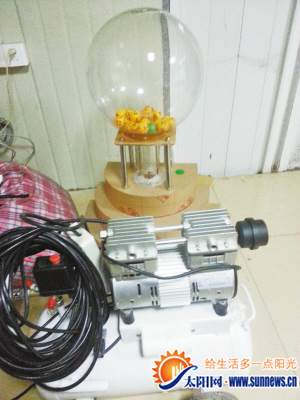 這種賭博機(jī)模仿?lián)u號機(jī)