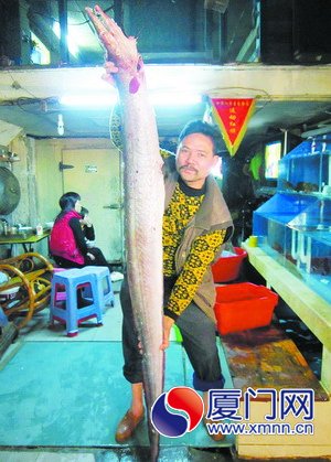 大海鰻，身長2.58米