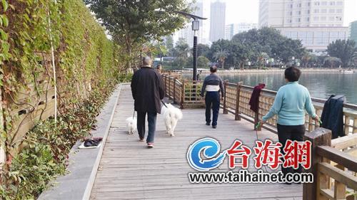 寵物在步道內(nèi)隨地大小便