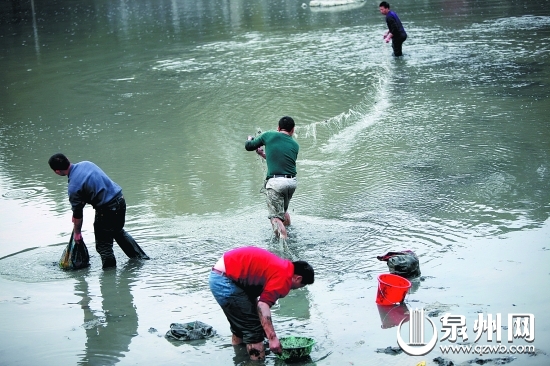 “絕戶網”捕魚，破壞漁業(yè)生態(tài)