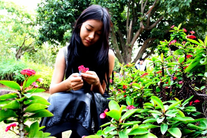 虎刺梅-公共衛(wèi)生學(xué)院-巴麗肯