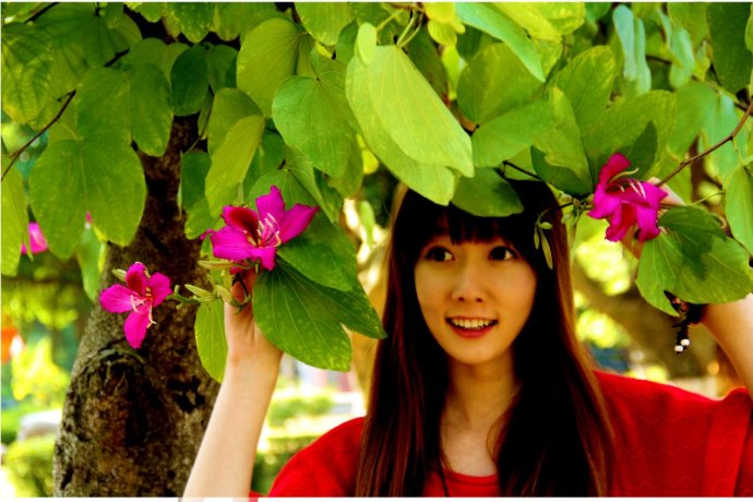 洋紫荊-公共事務(wù)學(xué)院-陳翹