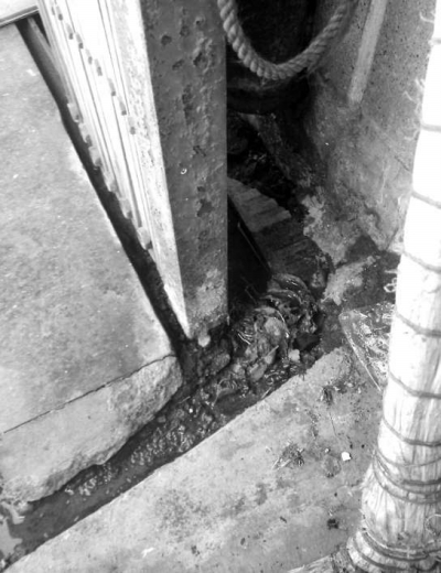 一店主在裂縫上蓋了一些雜草和磚塊