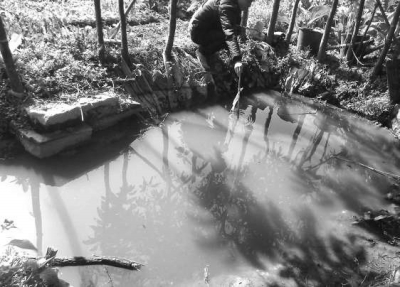 記者用一個(gè)竹竿測(cè)量水坑深度