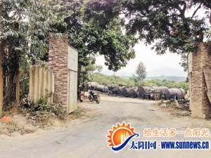 地下煉油廠內(nèi)部空地上堆放著十余個(gè)圓柱形的油瓶