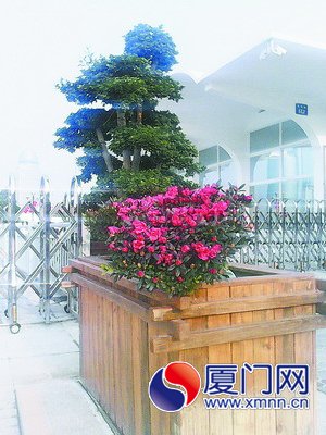 木質花箱替代簡易護欄