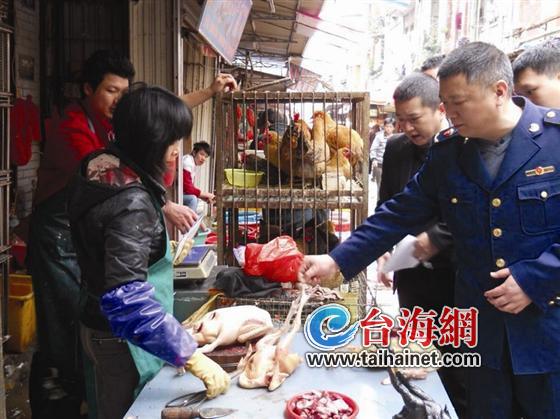 工商人員檢查八市活禽市場