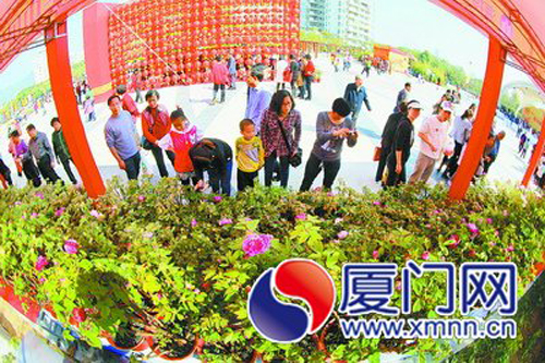 牡丹花展吸引了不少拍客。