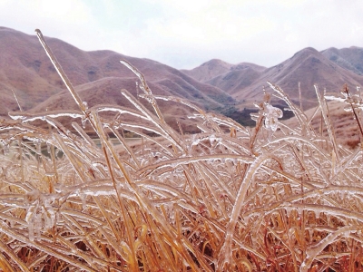 福建多地仍將降雪，圖為柘榮草場(chǎng)雪景（網(wǎng)友“箴賀”