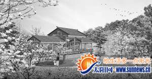 天竺山森林公園玉蘭花谷效果圖。