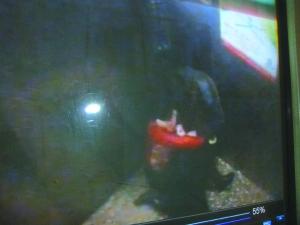 蘭州代課女教師在電梯內遭陌生男子割喉2