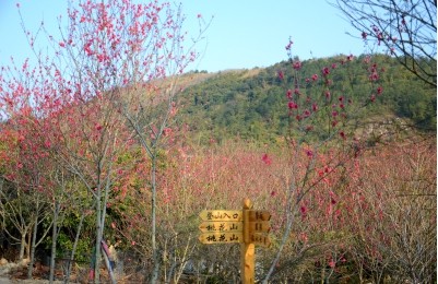 QQ圖片20140226152326