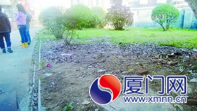 到鼓浪嶼“社區(qū)園圃”認(rèn)養(yǎng)種植2