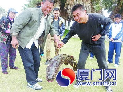 看到這條大魚，大家都上前感受一下它的重量。