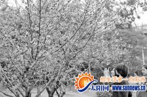 春季常外出踏青，有益身心健康