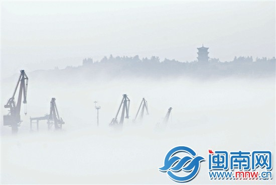 霧中的石獅石湖港碼頭(許師偉攝)