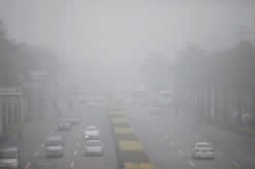 金尚路 能見度低，車輛慢行。記者 唐光峰 攝