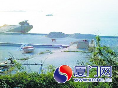 這些狗四處流竄傷人，成了島上一害。