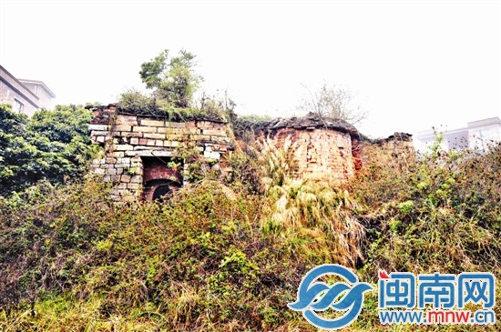 槐山村一處古窯，已經(jīng)被草叢包圍