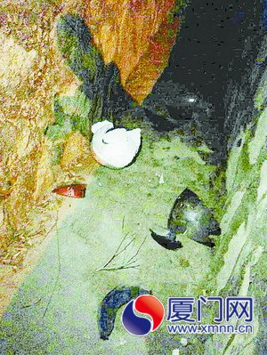 車禍現(xiàn)場(chǎng)遺留下疑似死者的安全帽