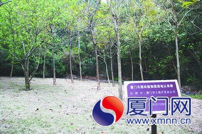 今年10家單位認(rèn)養(yǎng)了500株樹(shù)木，是開(kāi)展認(rèn)養(yǎng)活動(dòng)以來(lái)