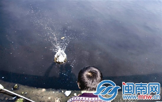 阿寶的樂園，是家門口那灣水塘