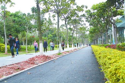 云頂北路自行車道即將完工，騎行者將在綠化帶中穿行